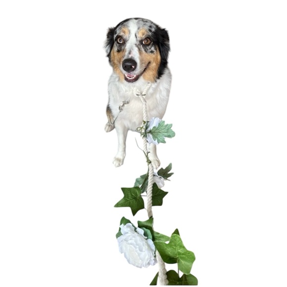 Wedding Flower Dog White Rose Rope Leash Homemade, Not Meant For A Dog The Pulls - Picture 3 of 4